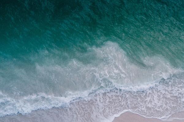 Ocean Literacy and Blue Skills